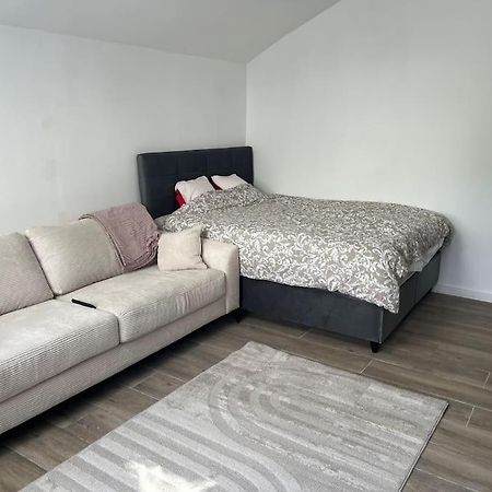 Lutterbach Maisonnette Avec Terrasse Avec Spa Privatif מראה חיצוני תמונה